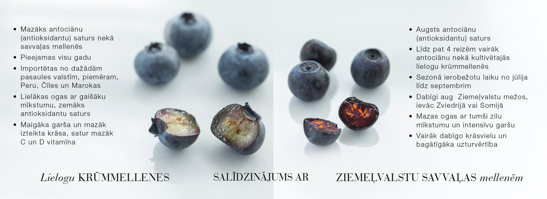 Blue Berry reklāmas baneris ar mellenēm un salīdzinājumu ar Ziemeļvalstu savvaļas mellenēm