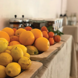 Herbal Schools 31 Dažādi augļi, kas izvietoti kopā, atainojot dažādas krāsas, formas un veidus.