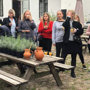 Herbal Schools 32 Cilvēki, kas apmeklē zāļu skolas pasākumu, iepazīst augus un darbojas ar tiem.