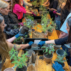 Herbal Schools 9 Cilvēki, kas nodarbojas ar dārzkopību un eksperimentē ar garšaugiem garšaugu skolas pasākumā, apgūstot augu kopšanas un izmantošanas pamatus.